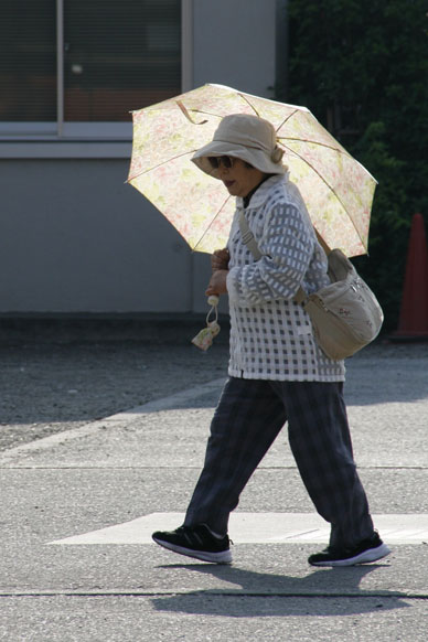 写真10