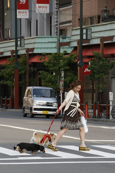 写真10