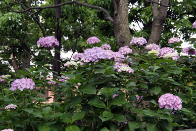 写真7