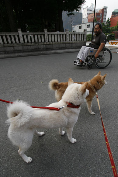 写真10