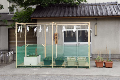写真7
