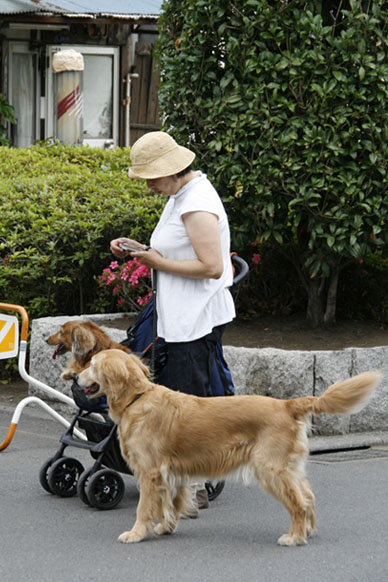 写真10