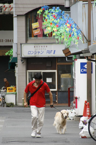 写真10