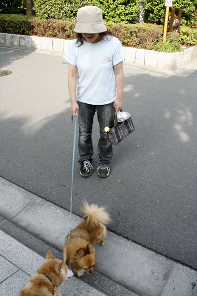 写真7