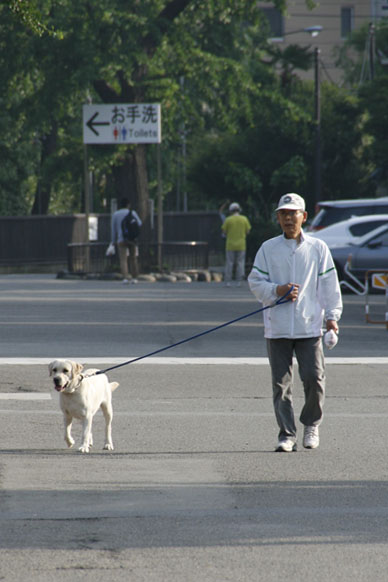 写真10