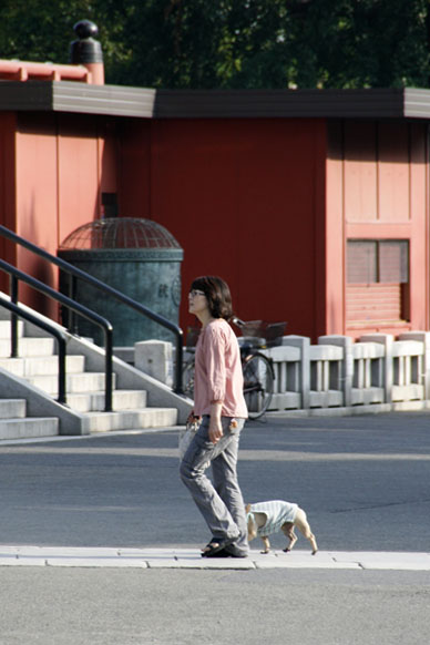 写真10