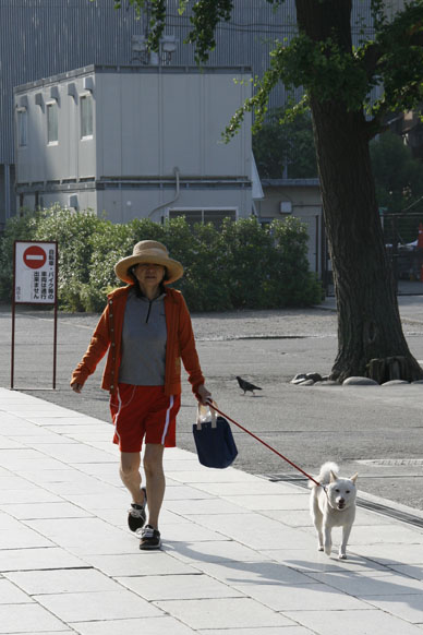 写真10