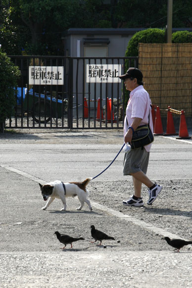 写真10