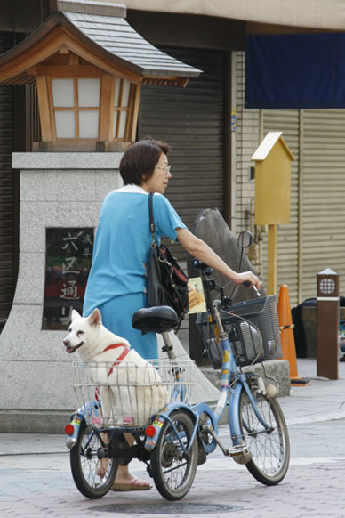 写真10