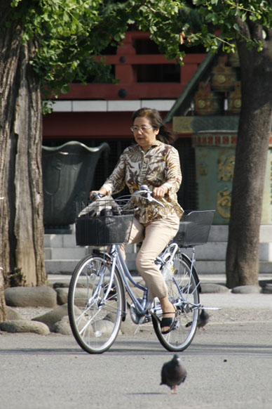 写真10