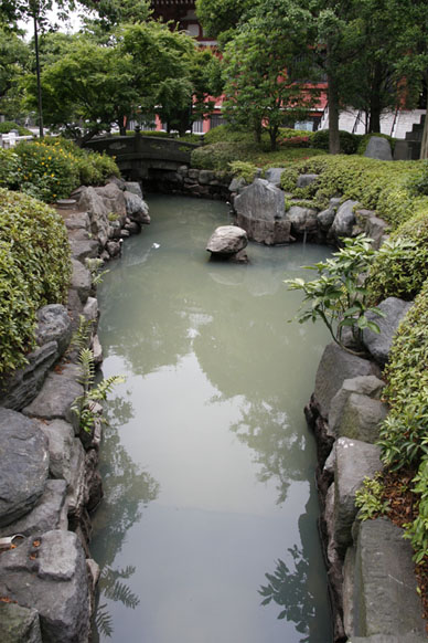 写真10