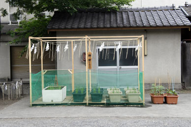 写真10