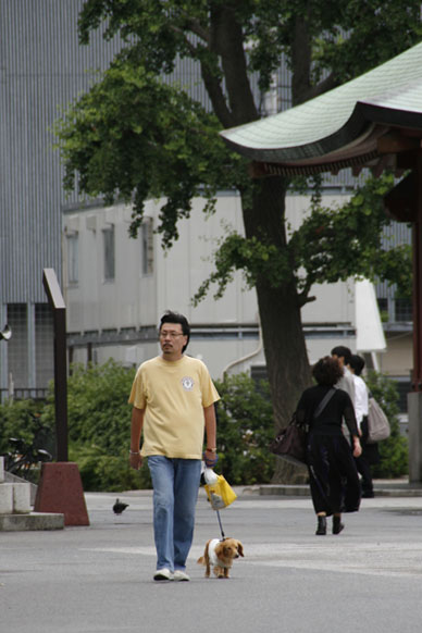 写真10
