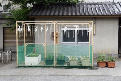 写真3