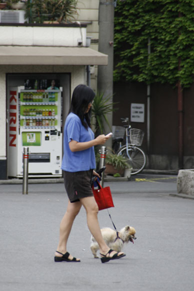 写真7