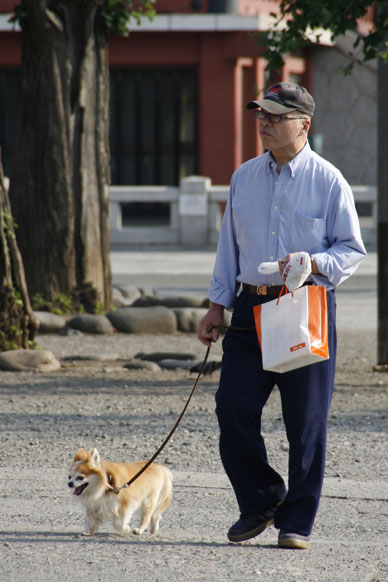 写真10