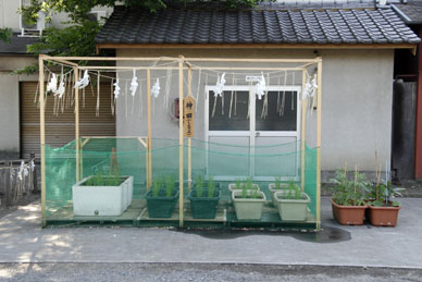 写真10
