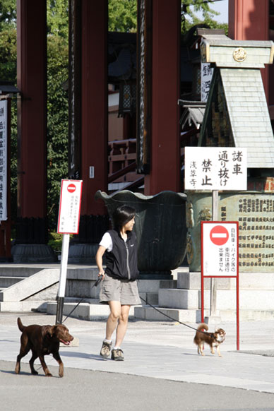 写真10