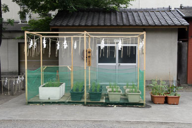 写真10