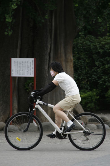 写真10