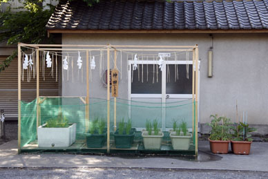 写真7