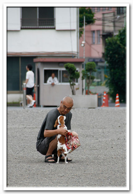 写真1