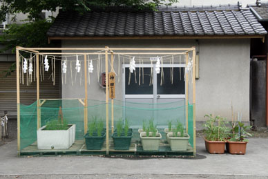 写真10