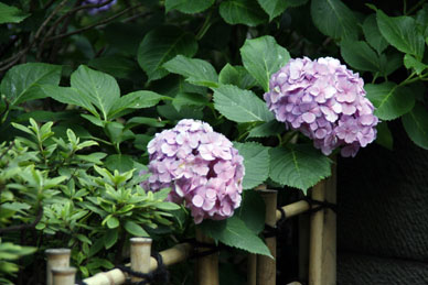 写真10