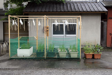 写真3