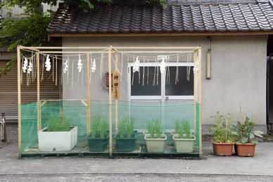 写真10