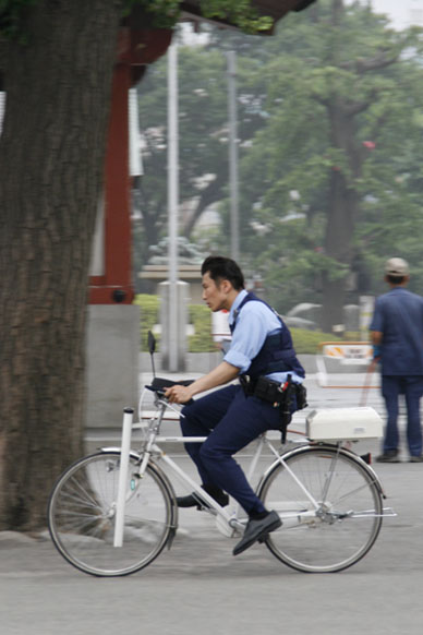 写真10