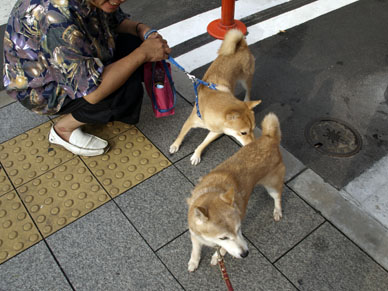 写真7