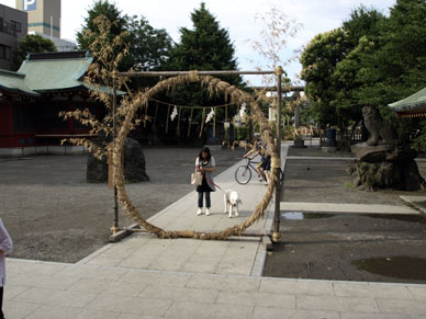 写真7