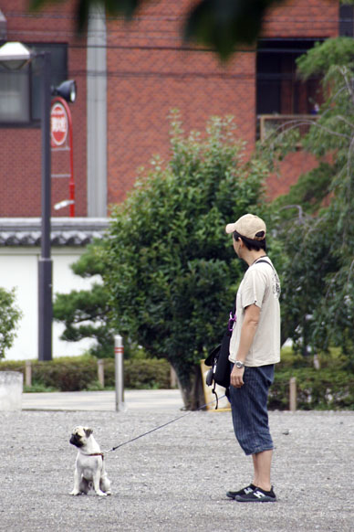 写真7