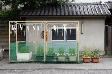 写真10