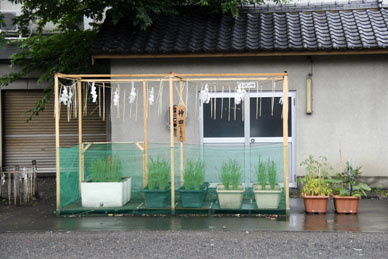 写真10