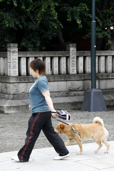 写真10
