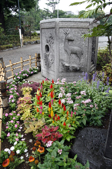 写真10