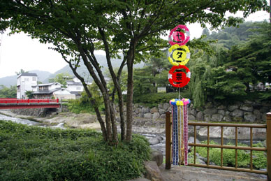 写真1