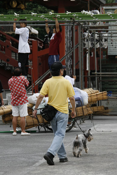 写真7