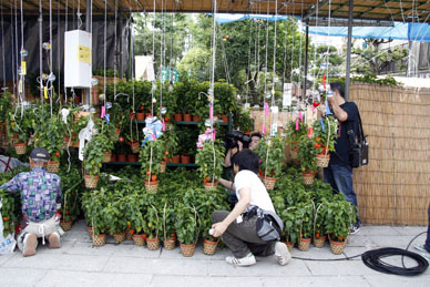 写真7