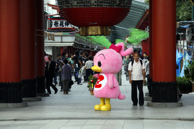 写真7