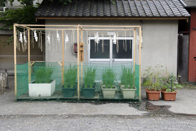 写真10
