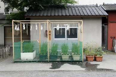 写真10