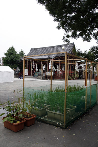 写真10