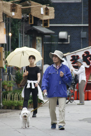 写真10