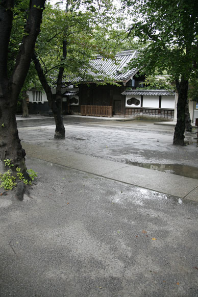 写真7