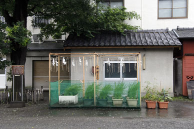 写真7