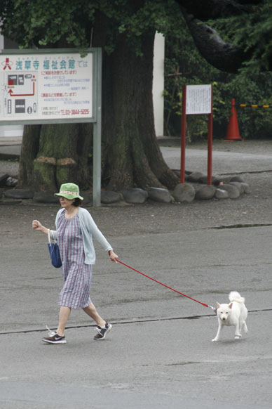 写真10