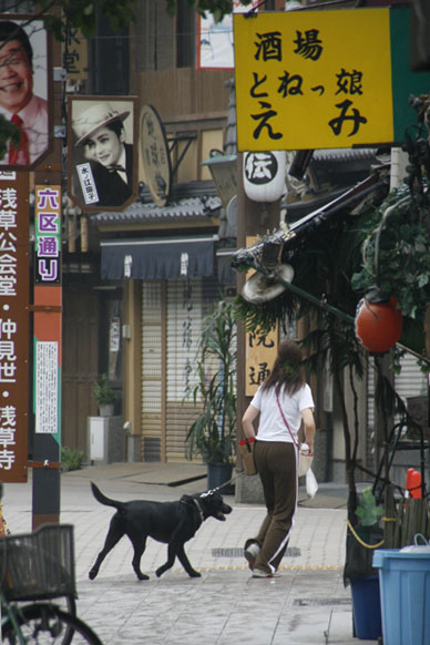写真10